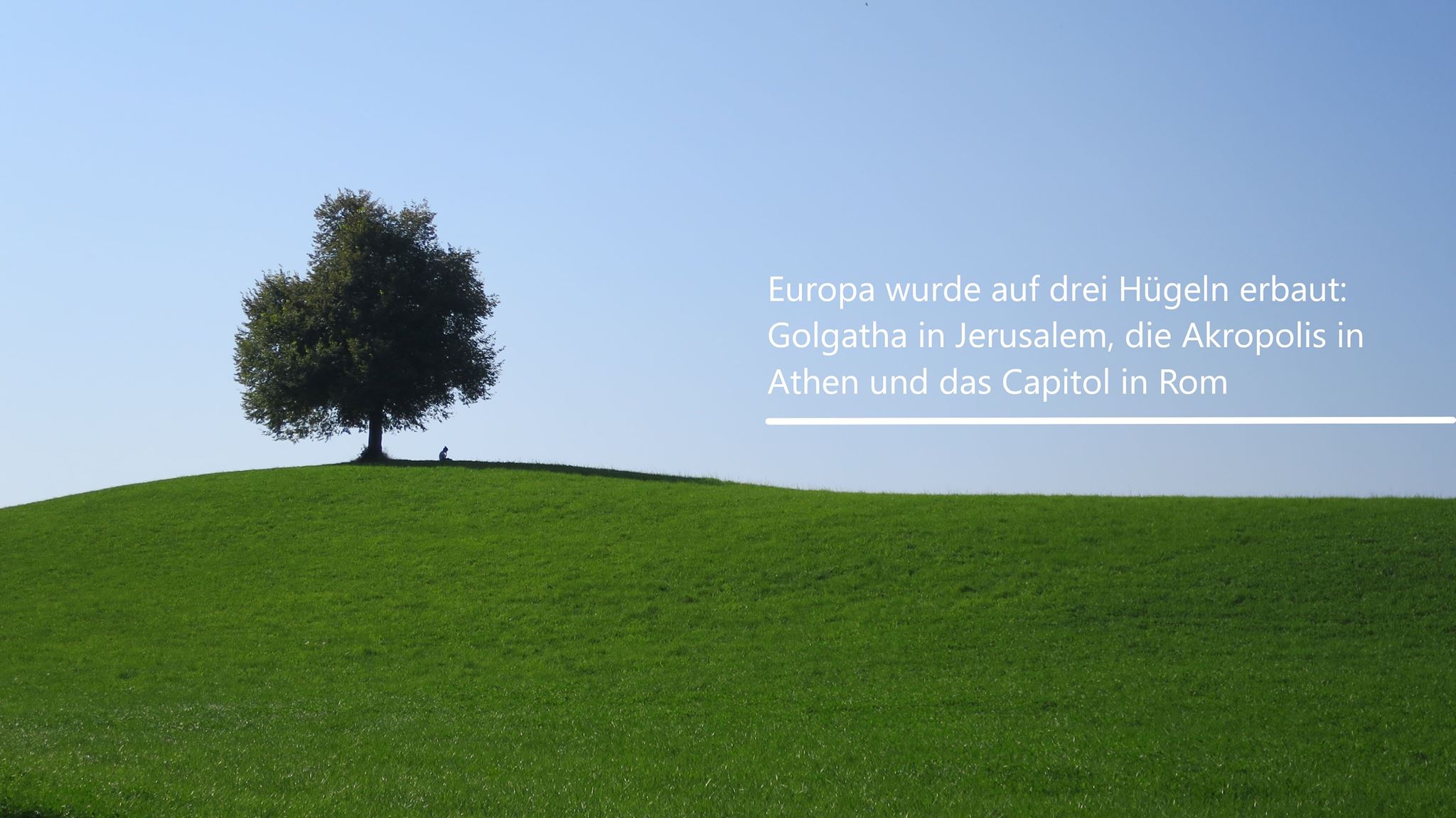 Hügel Baum Zitat